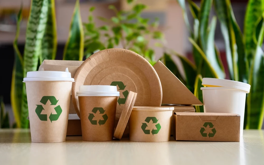 10th strategy Eco-Friendly and Ethical Branding